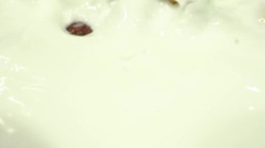 Çikolatalı mısır topları beyaz ve kahverengi renkli sütün içine düşer. makro çekim