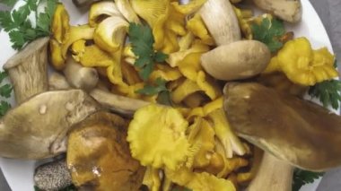 Sarı mantarlar tabakta. Kapatın. Makro mod. Chanterelles