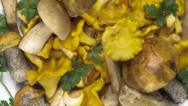 黄色的蘑菇在盘子里 靠近点宏观模式 Chanterelles案 — 图库视频影像