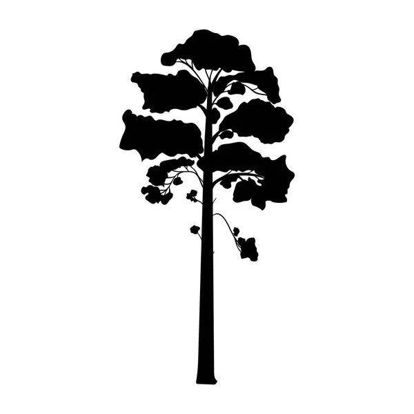 Silhouette pine tree coniferous flora icon — Stock Vector