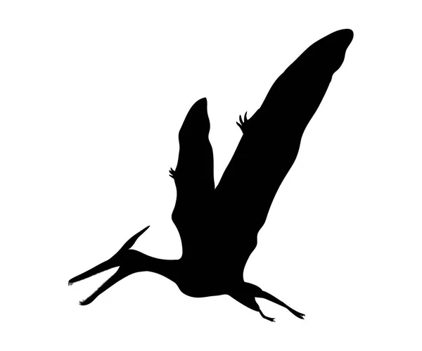 Silhouette Pterosaur dinosaurio jurásico animal prehistórico — Vector de stock