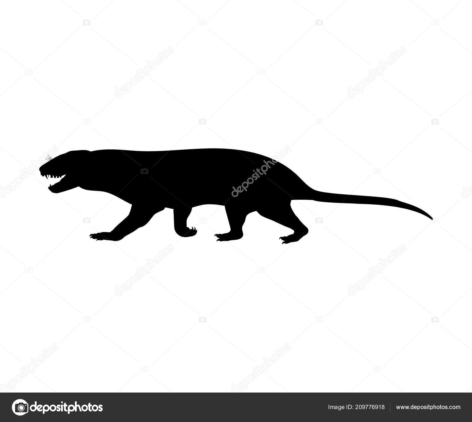 哺乳動物のシルエットストックベクター ロイヤリティフリー哺乳動物のシルエットイラスト ページ 2 Depositphotos