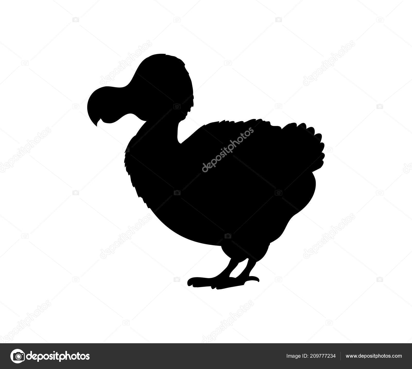 Mauritius Dipanda Silhouette Animal Disparu Oiseau