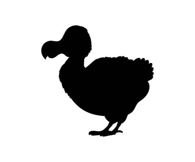 Mauritius Dodo siluet tarih öncesi kuş soyu tükenmiş hayvan