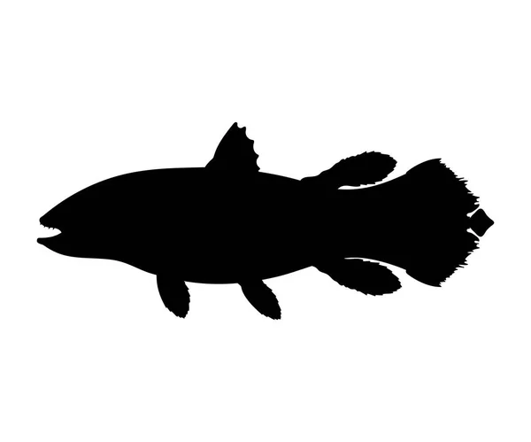 Latimeria silhueta de peixes fóssil vivo animal pré-histórico — Vetor de Stock