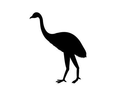 Dinornis Owen silhouette prehistoric bird extinct animal clipart