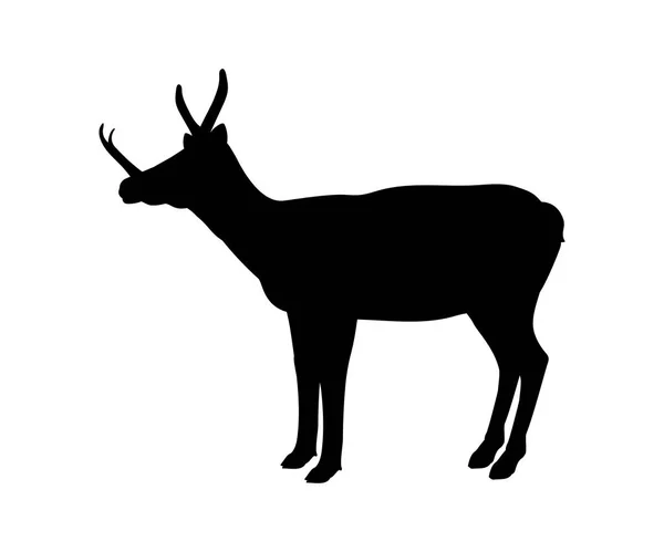 Synthetoceras silhouette extinct mammalian animal — Stock Vector