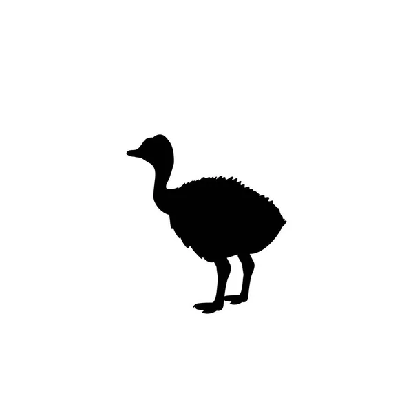 Bebé avestruz pollo pájaro silueta animal — Archivo Imágenes Vectoriales