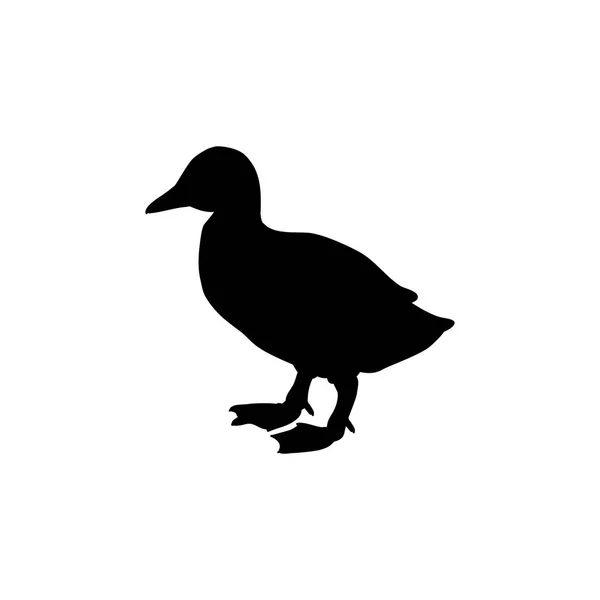 Duckling bird black silhouette animal — Stock Vector