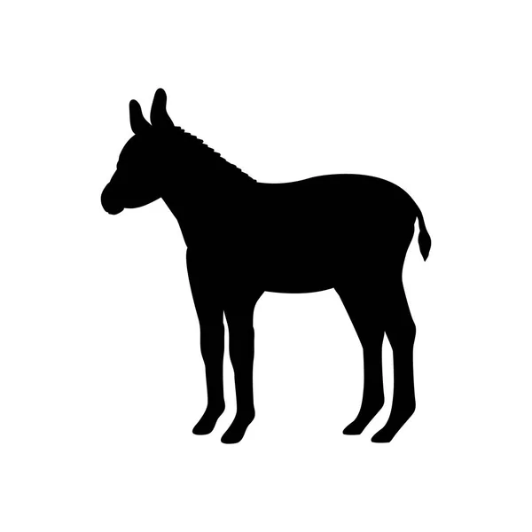 Bebê burro fazenda mamífero preto silhueta animal — Vetor de Stock