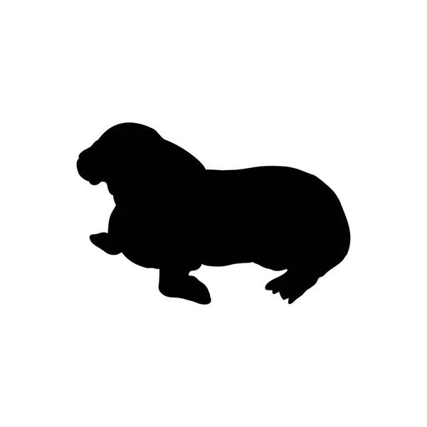 Cub walrus Arctische zwarte silhouet dier — Stockvector
