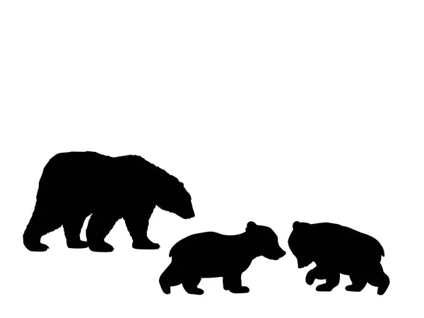 Bära familj två bear cubs svart siluett djur — Stock vektor