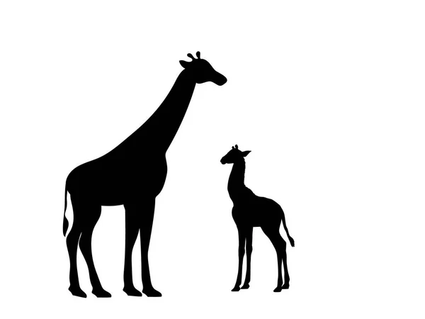 Giraffe und Giraffenjunges Säugetier Silhouette Tier — Stockvektor
