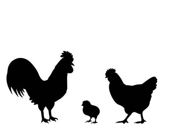 Tupp kuk kyckling fågel svart siluett djur — Stock vektor