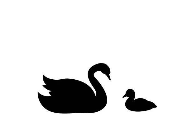 Cygne poussin oiseau noir silhouette animal . — Image vectorielle