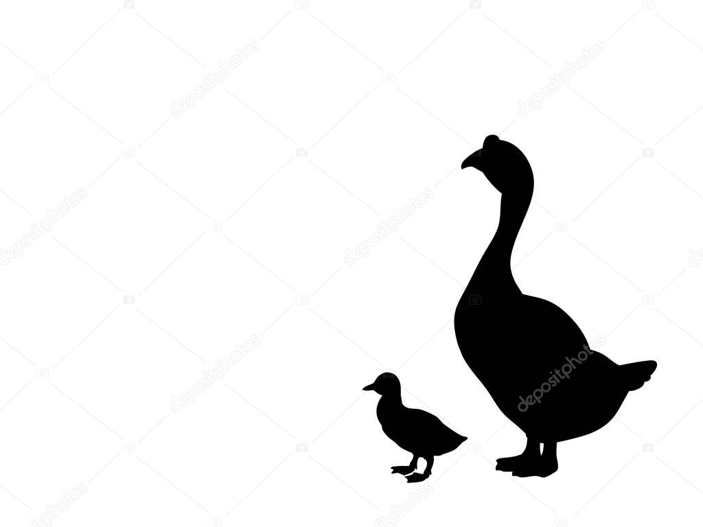 Goose and gosling bird black silhouette animal.