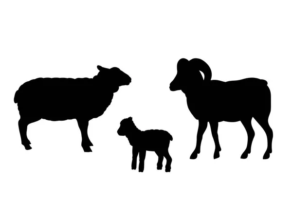 RAM schapen lams zoogdier zwarte silhouet landbouwhuisdieren — Stockvector