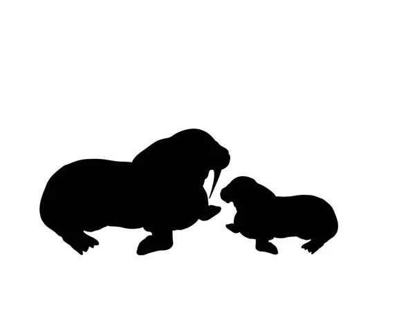 Morse ourson morse arctique silhouette noire animal — Image vectorielle