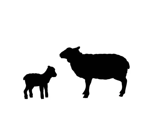 Pecora agnello fattoria mammifero nero silhouette animale — Vettoriale Stock