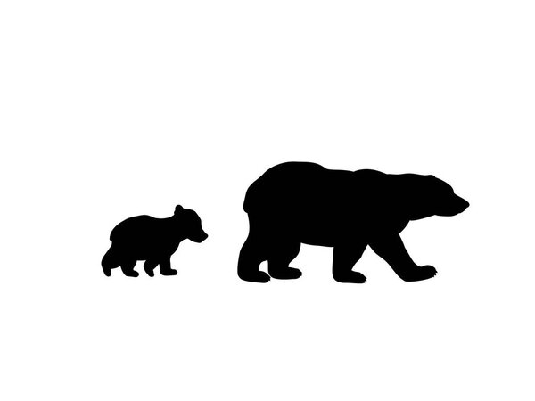 Bear family black silhouette animals.