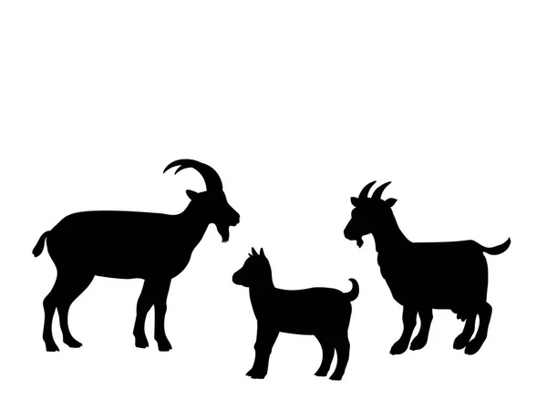 Κατσίκα κατσικάκια αγρόκτημα θηλαστικό ζώο μαύρη σιλουέτα — Διανυσματικό Αρχείο