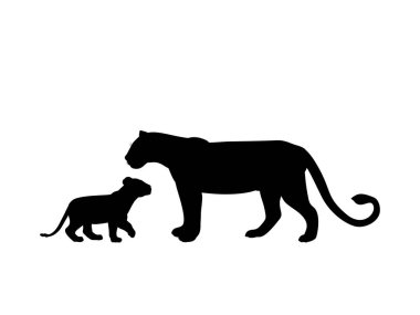 Download Little Lion Cub Free Vector Eps Cdr Ai Svg Vector Illustration Graphic Art