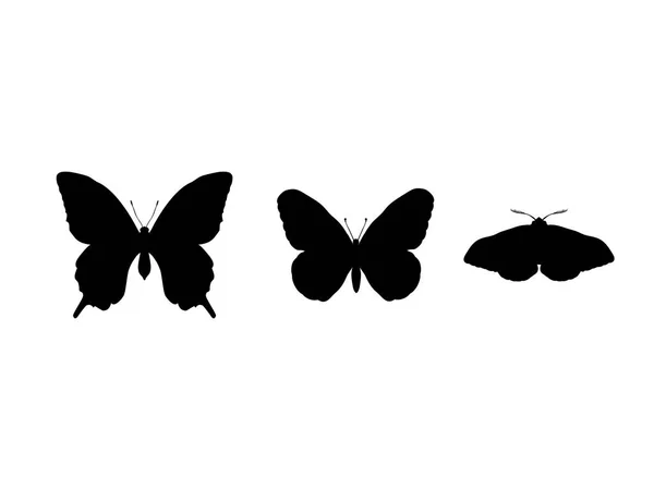 Set vlinders en vlinder insect zwart silhouet dier — Stockvector