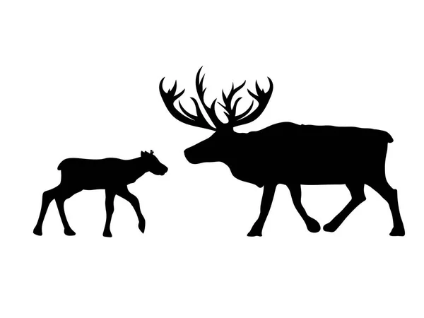 Geyik kuzey ve bebek reindeer siyah siluet hayvan — Stok Vektör