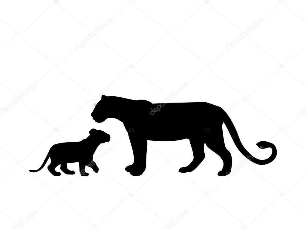 Lioness and lion cub predator black silhouette animal