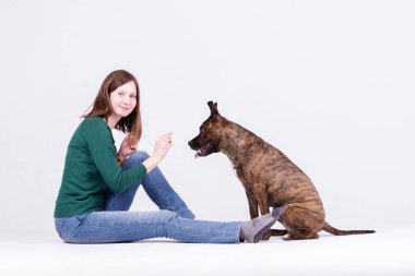 Genç güzel kız kazak ve kot Köpek eğitiyor
