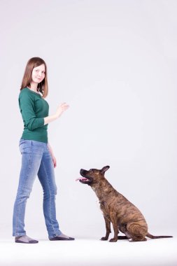 Genç güzel kız kazak ve kot Köpek eğitiyor