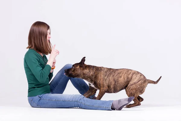 Young Beautiful Girl Pullover Jeans Trains Dog — Stock Photo, Image