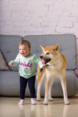 Güzel küçük kız ve köpek yere oturur