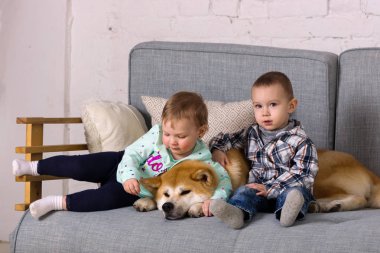 Güzel küçük kız ve erkek köpekle oturur koltukta