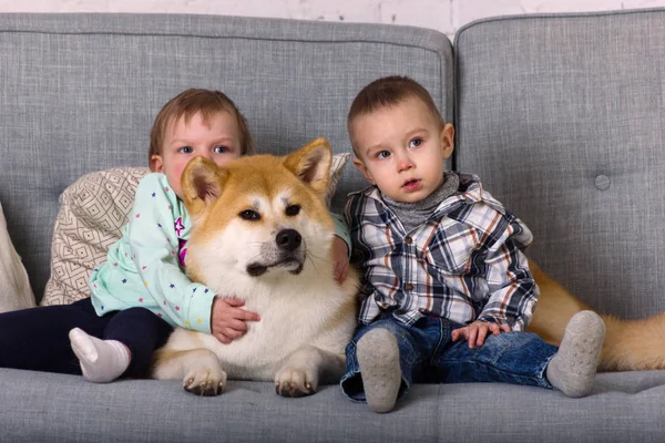 美丽的小女孩和男孩与狗坐在沙发上 — 图库照片