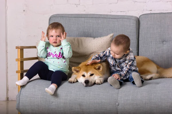 Güzel küçük kız ve erkek köpekle oturur koltukta