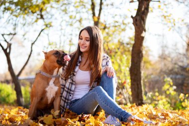 Güzel kadın onun Amerikan staffordshire terrier ile sonbahar Park'ta açık yürür