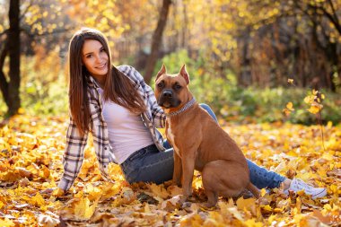 Güzel kadın onun Amerikan staffordshire terrier ile sonbahar Park'ta açık yürür