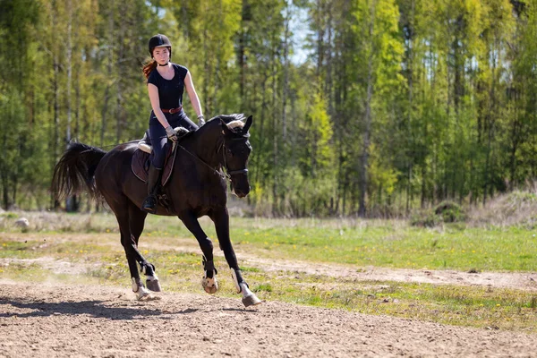 Hermosa Chica Montando Caballo Asedio Verano Imágenes De Stock Sin Royalties Gratis