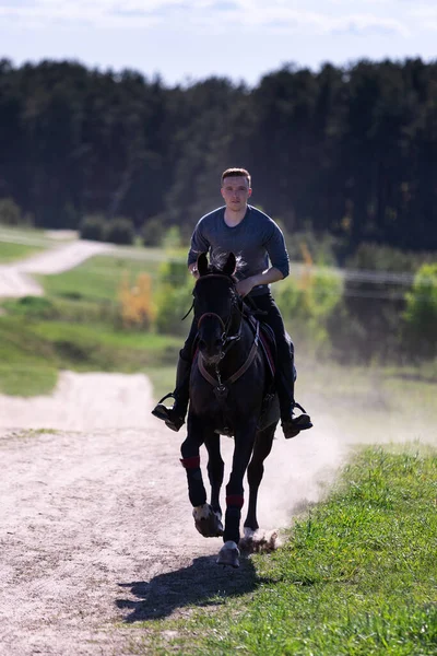 Beautiful man riding a horse on field at summer