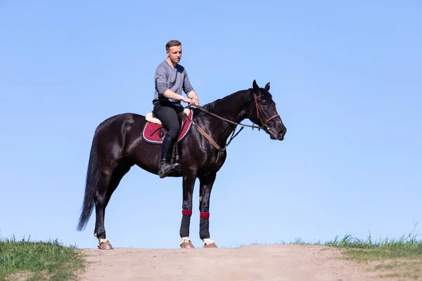 Beautiful man riding a horse on field at summer