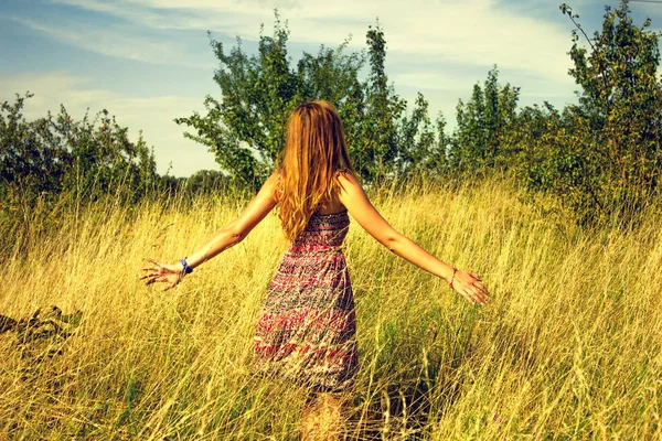 Genç güzel kız aracılığıyla yüksek kuru çim alan ve ishal elinde yaz aylarında yürüyüş.