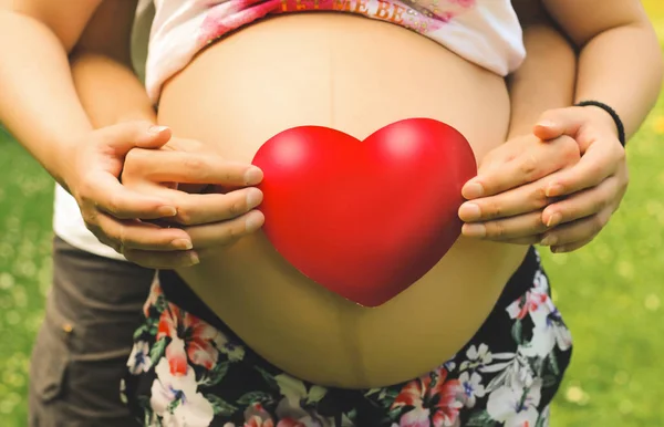 Jovem casal bonito tomar as mãos em conjunto com o coração vermelho na barriga de uma mulher grávida close-up na temporada de verão — Fotografia de Stock