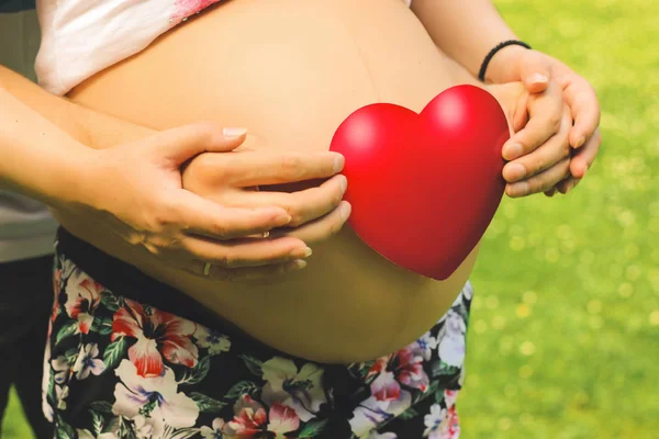Молодая красивая пара берет свои руки вместе с красным сердцем на животе беременной женщины крупным планом в летний сезон — стоковое фото