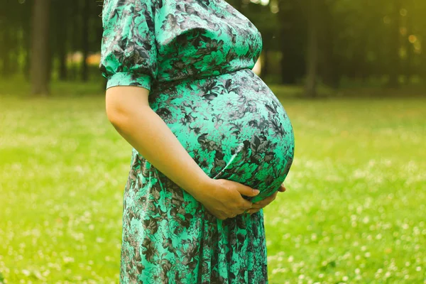 Uma jovem mulher grávida bonita segura as mãos em seu estômago em um vestido longo contra um fundo de árvores e gras verde no verão — Fotografia de Stock