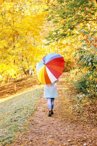 Ung Vacker Flicka Promenader Höst Parken Med Färgglad Paraply — Stockfoto