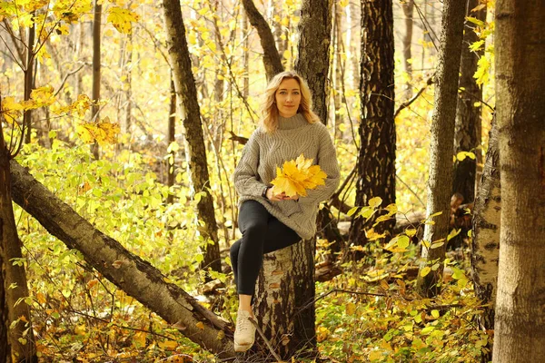 Молода красива дівчина в трикотажному светрі на тлі осіннього парку з опалим листям — стокове фото