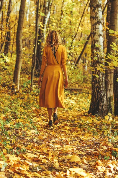 Giovane Bella Ragazza Abito Lungo Giallo Passeggiate Nel Parco Autunnale — Foto Stock