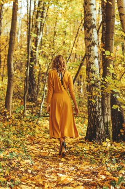 Sarı uzun elbiseli Genç güzel kız düşmüş yaprakları ile sonbahar park içeri girer