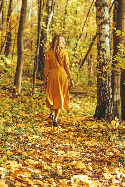 Ung Vacker Flicka Gul Lång Klänning Promenader Höst Park Med — Stockfoto